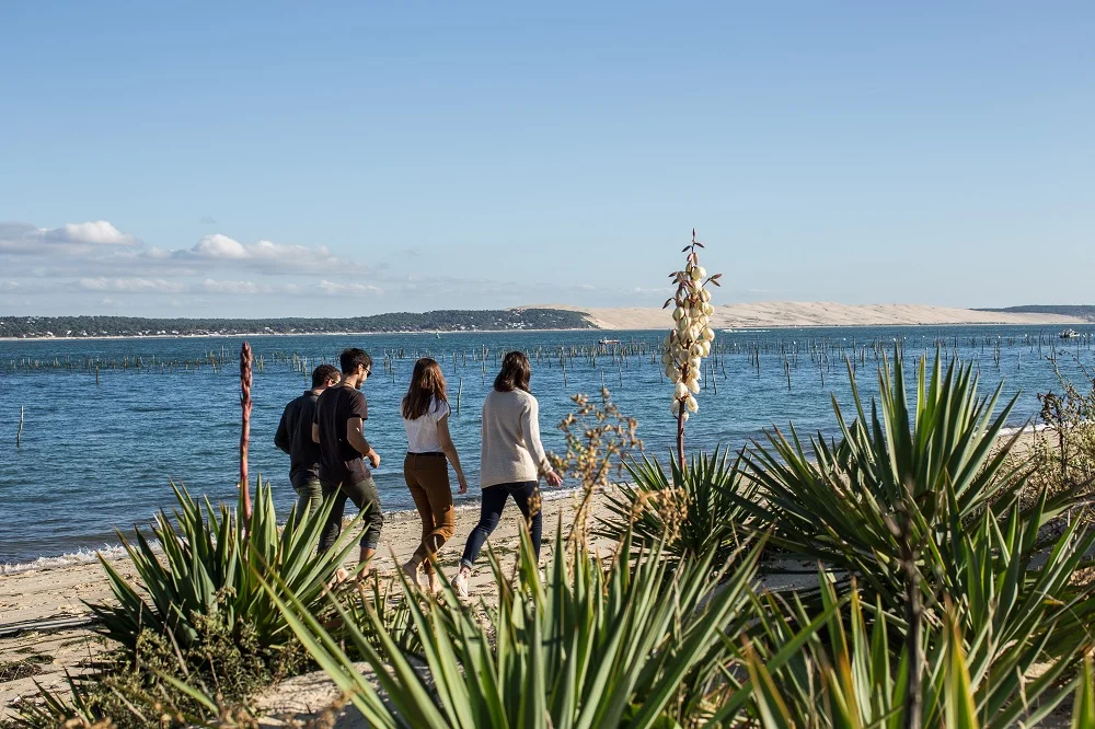 Nos locations de vacances au Cap Ferret - Balade en automne été indien Cap Ferret - Bassin d'Arcachon locations de vacances au cap ferret vue sur la dune du pilat