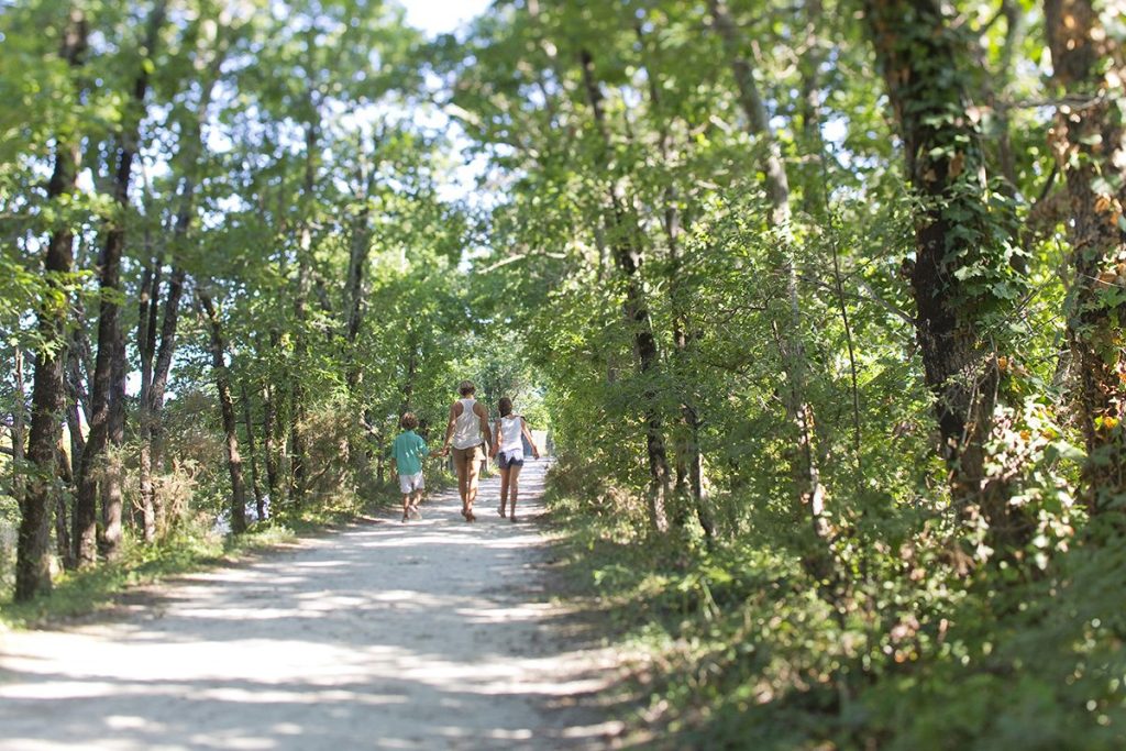The Teich bird sanctuary - walks, trails, reserves - Bassin d'Arcachon
