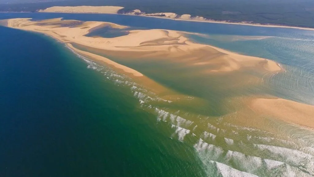 La Teste de Buch - banco guia argin - Bassin d'Arcachon
