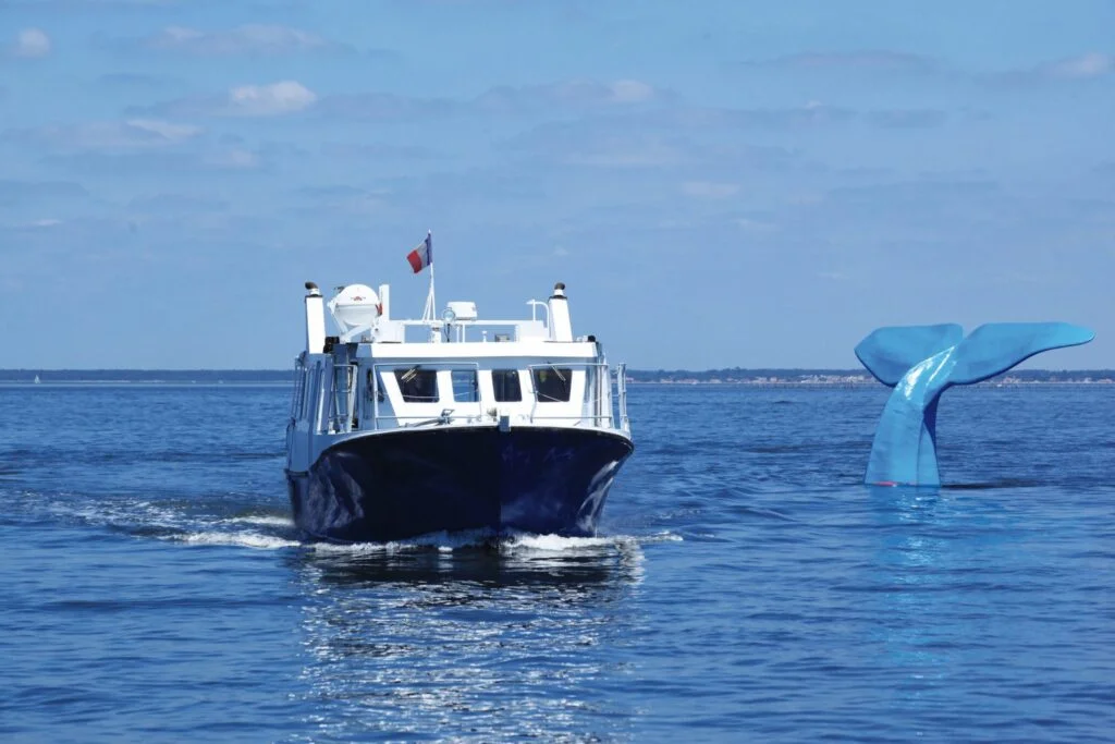 Boat trips - whale boat - Bassin d'Arcachon