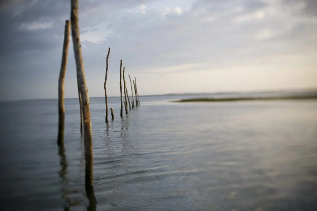 Nos locations de vacances à la Teste De Buch - lateste general - Bassin d'Arcachon