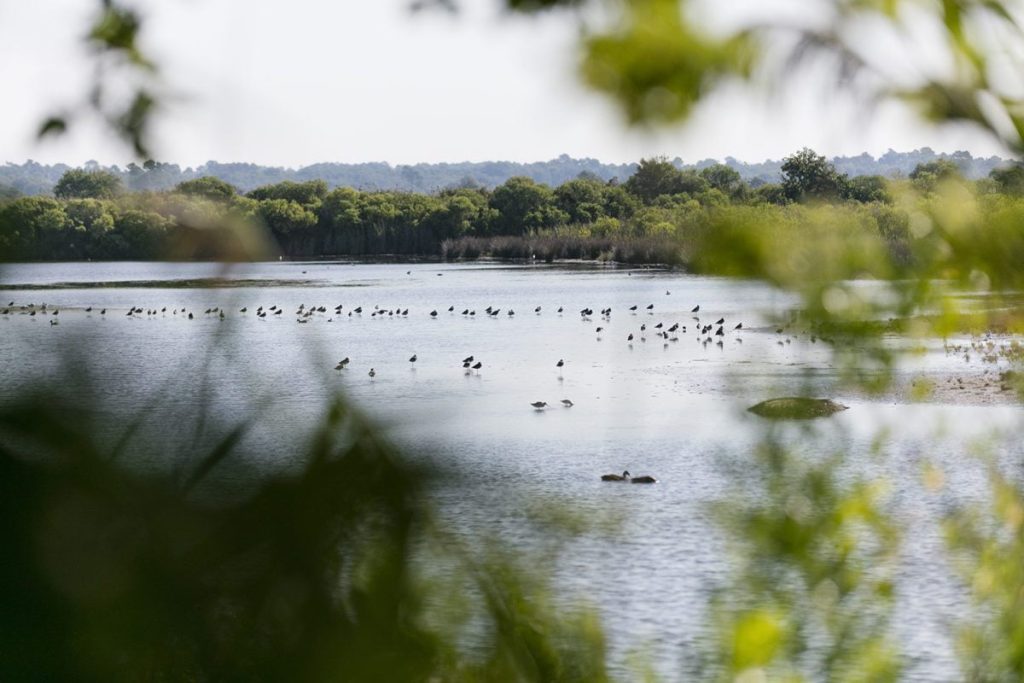 Unsere Städte und Dörfer - Blick auf Le Teich - Bassin d'Arcachon