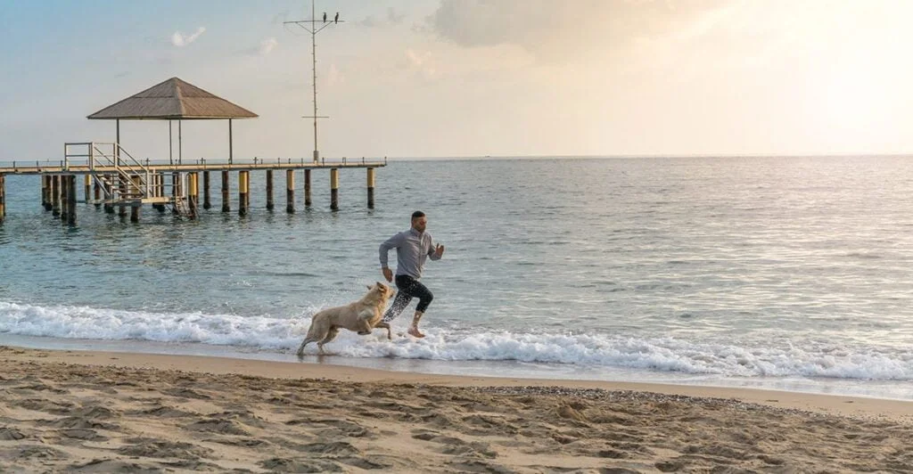 Our campsites at the Dune du Pilat - pet-friendly accommodation - Bassin d'Arcachon