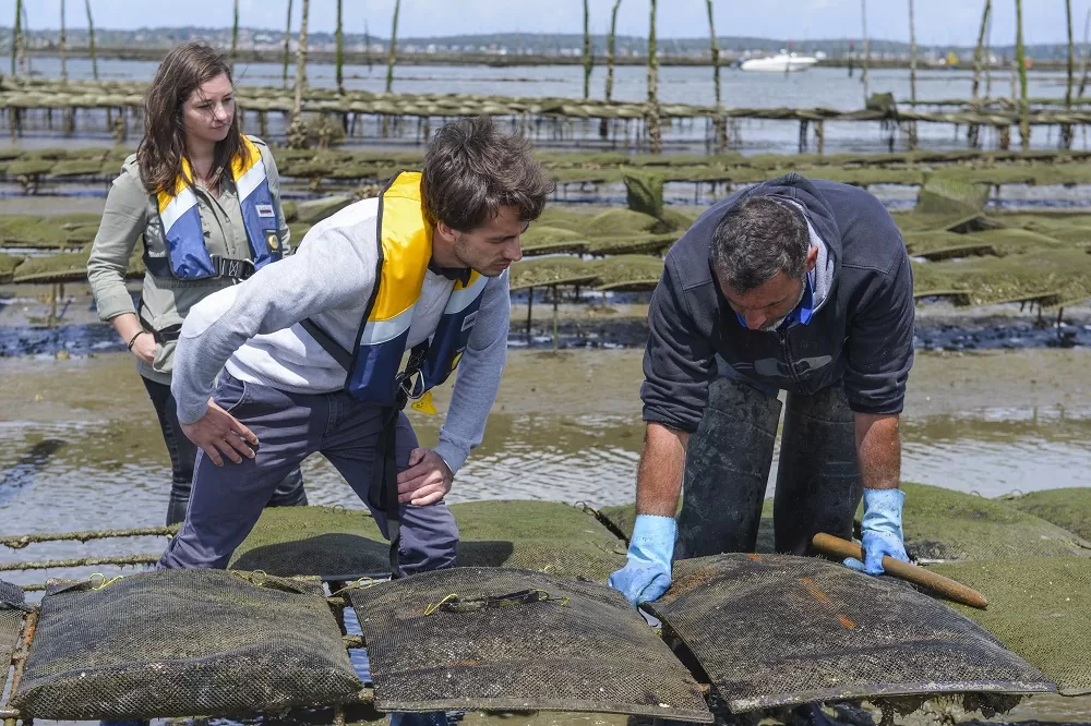 1 semaine sur le Bassin - pescatourisme - Bassin d'Arcachon