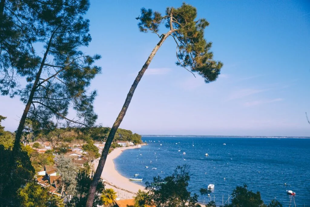 Lège-Cap Ferret - winter horse point - Bassin d'Arcachon