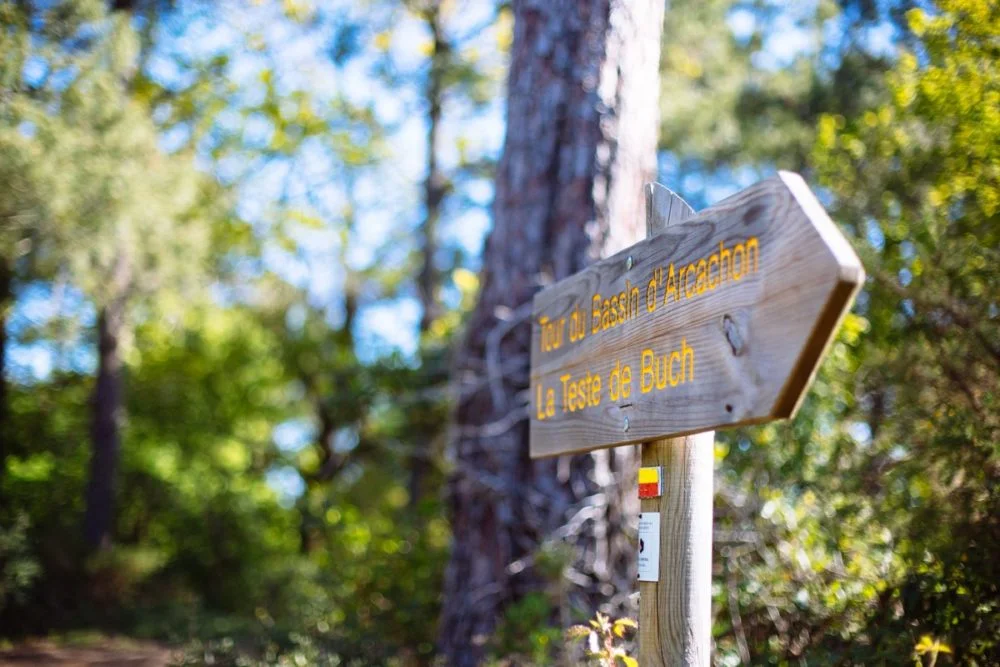 Indicaciones en el bosque de dunas de Camicas en Arcachon
