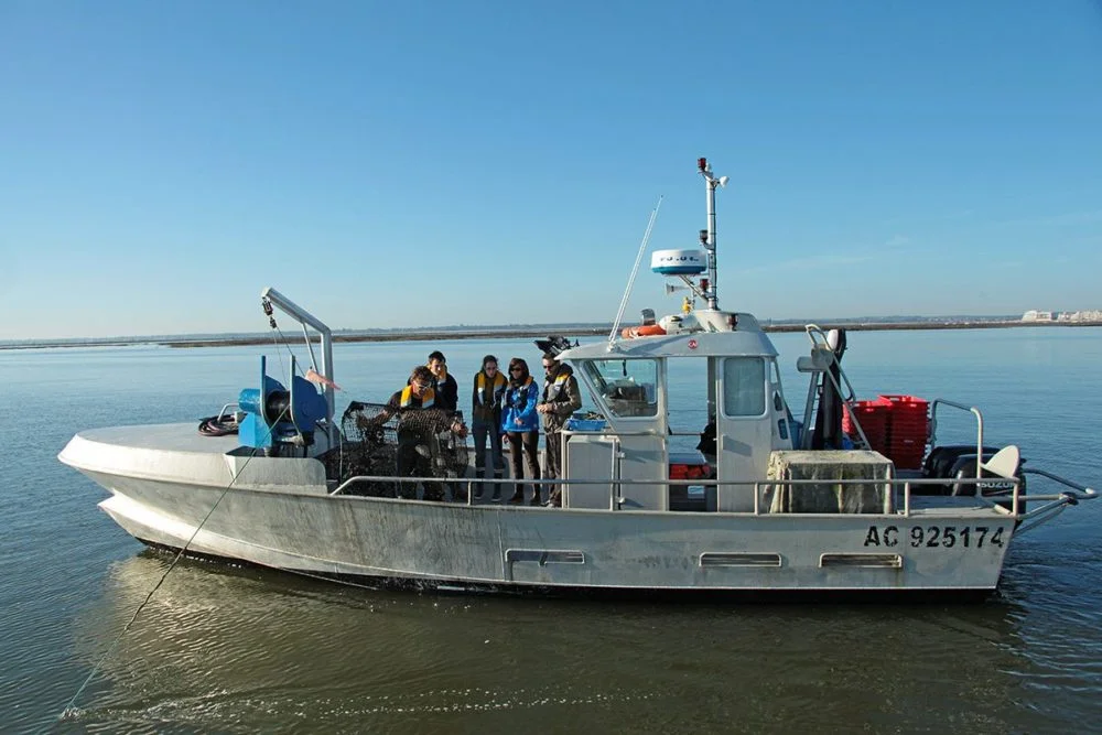 Fishing boat trip to Bassin d'Arcachon
