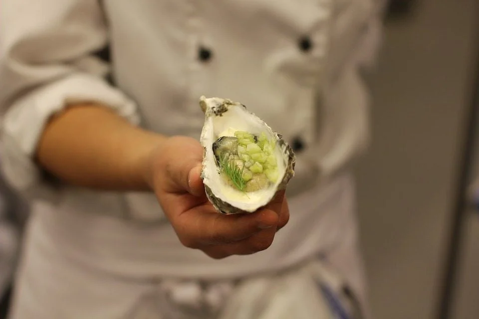 Nos hôtels à la Teste de Buch - oyster 1758592 960 720 - Bassin d'Arcachon
