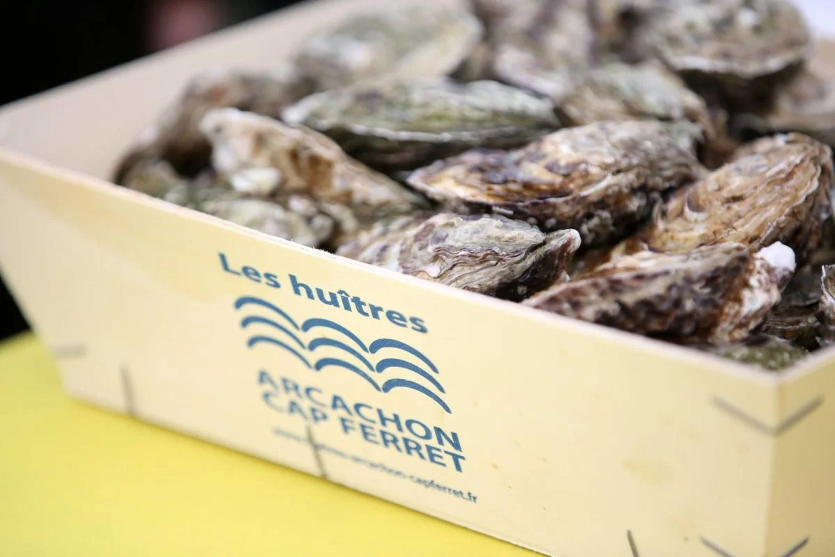 Bassin d'Arcachon 圣诞日历 - 20229554 1256062677837417 2934134375100938918 o - Bassin d'Arcachon