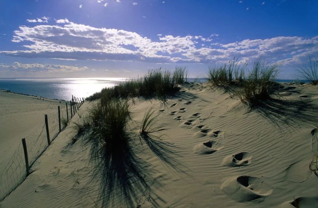 Cocooning break on the Bassin d'Arcachon - Dune du Pilat 59 - Bassin d'Arcachon