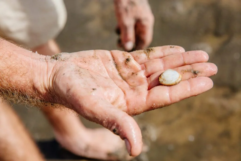 Bassin d'Arcachon 圣诞日历 - peche a pieds SIBA agence les conteurs 30 - Bassin d'Arcachon