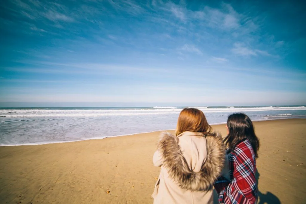 Cocooning break on the Bassin d'Arcachon - horizon beach winter walk 25 - Bassin d'Arcachon