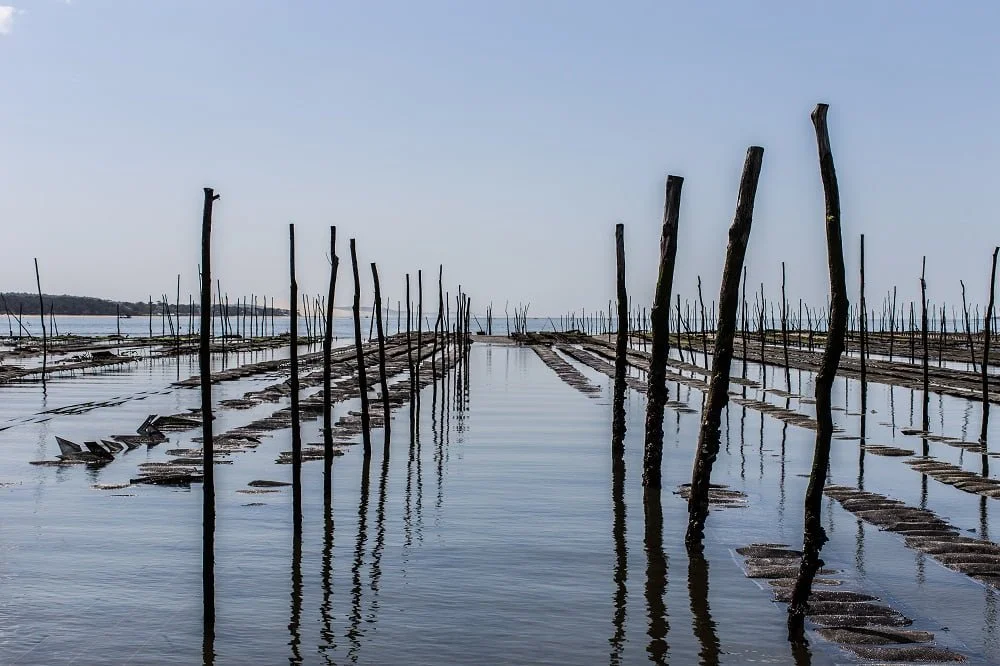 A feast for the eyes at Port de Larros - Bassin dArcachon - Bassin d'Arcachon