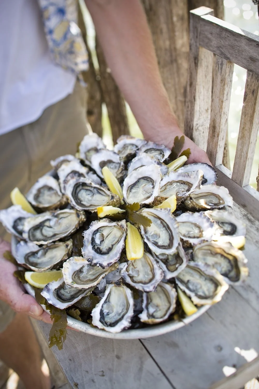 Spend a day in the Bay with an oyster farmer or fisherman! - Oyster tasting arcachon cap ferret - Bassin d'Arcachon