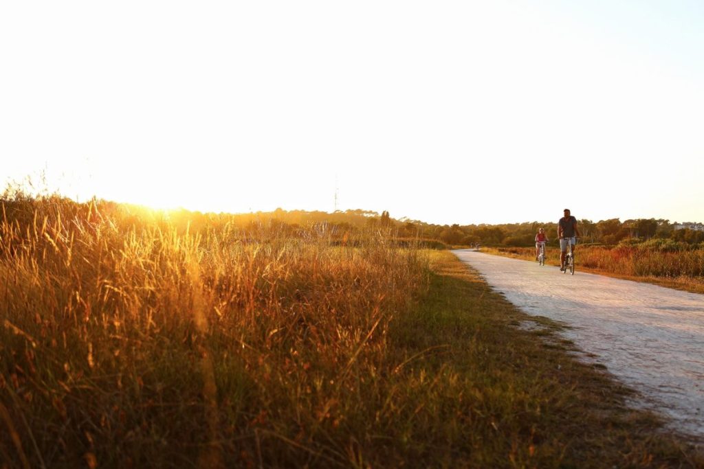 Unsere Ferienwohnungen in La Teste De Buch - West Salt Meadows La Teste de Buch 1 - Bassin d'Arcachon