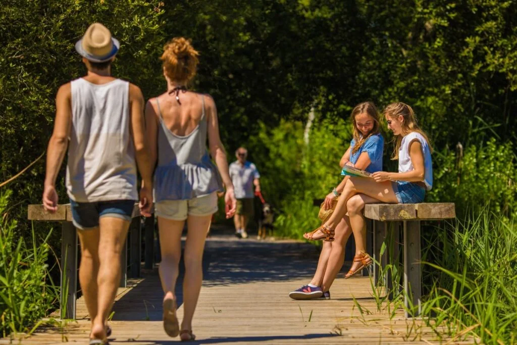 Prés Salés Ouest, our little secret corner - Prés salés ouest La Teste de Buch 3 - Bassin d'Arcachon
