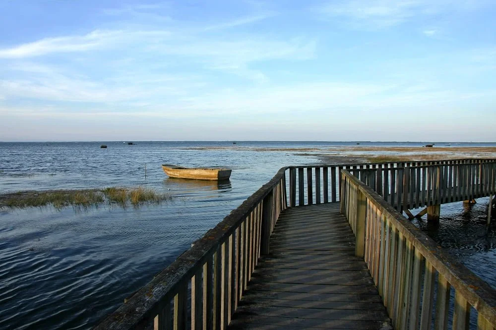 A feast for the eyes at Port de Larros - Gujan coastal path - Bassin d'Arcachon