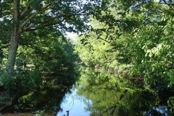 Canal des Landes au Bassin d'Arcachon
