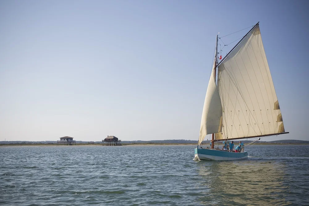 Les Cabanes tchanquées de l'île aux Oiseaux - Balade sur leau Bassin Arcachon - Bassin d'Arcachon