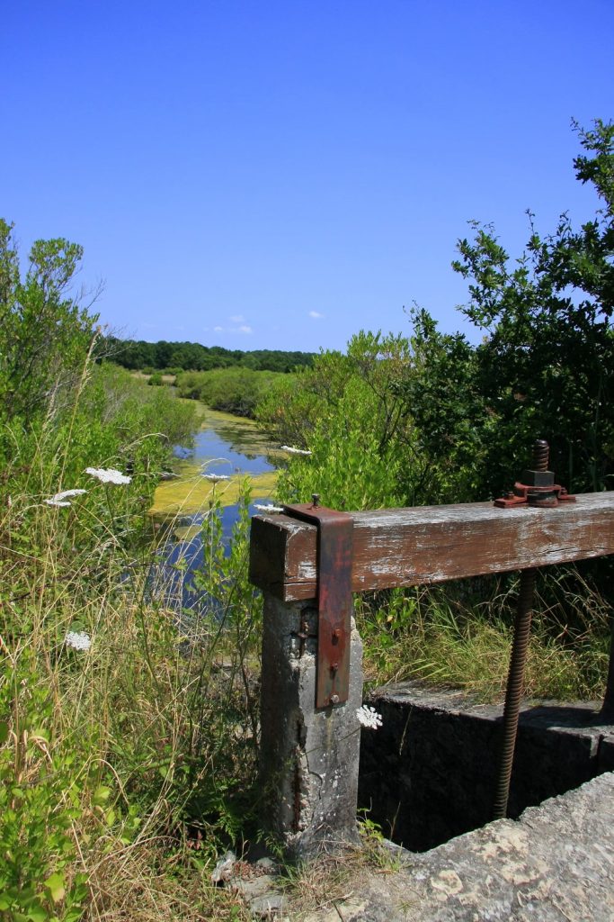 The Salt Meadows Ares-Lège