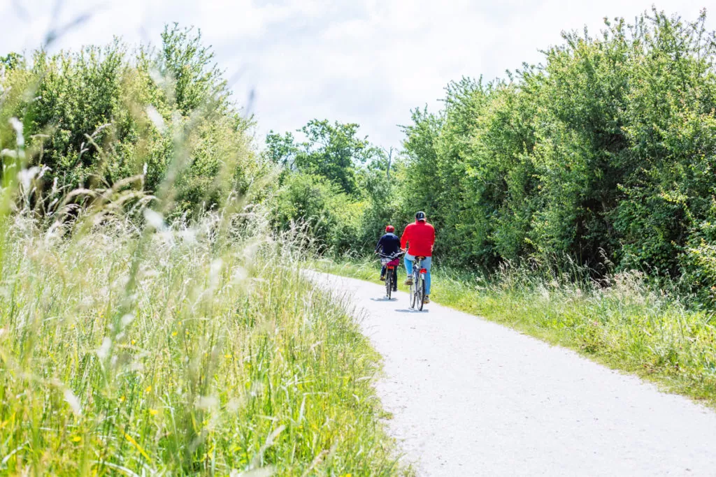 Nos locations de vacances à Lanton - faire du vélo lanton - Bassin d'Arcachon