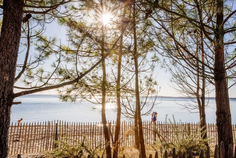 balade automne Quinconces Andernos