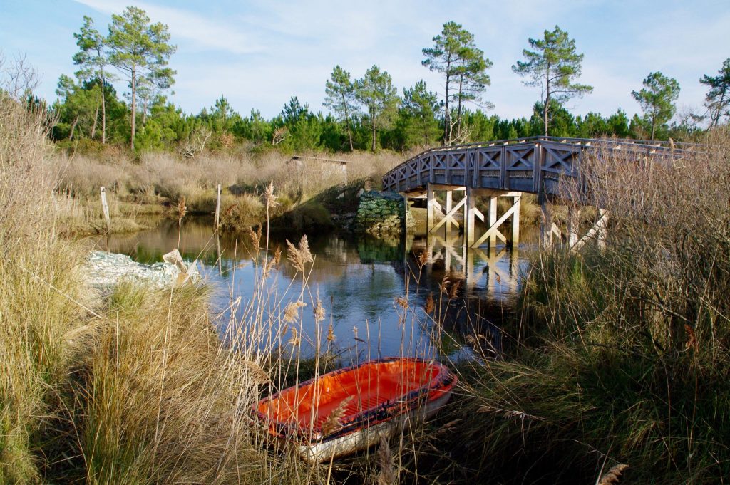3 paseos otoñales por el Bassin - pasarela de la pradera salada ares lege - Bassin d'Arcachon