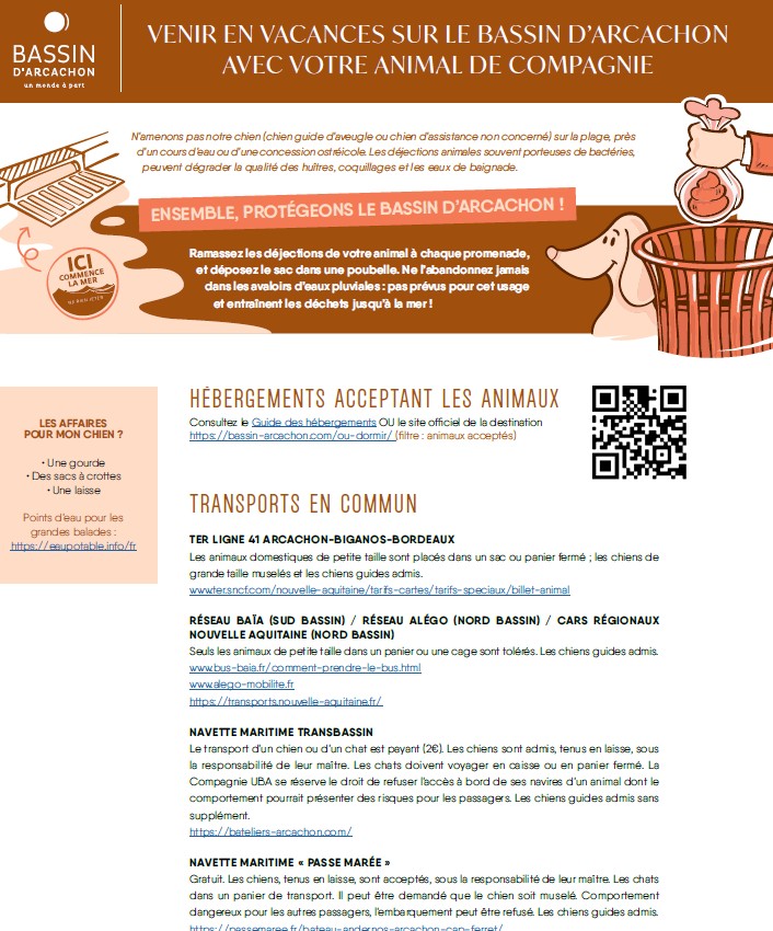 Venir sur le Bassin avec votre animal
