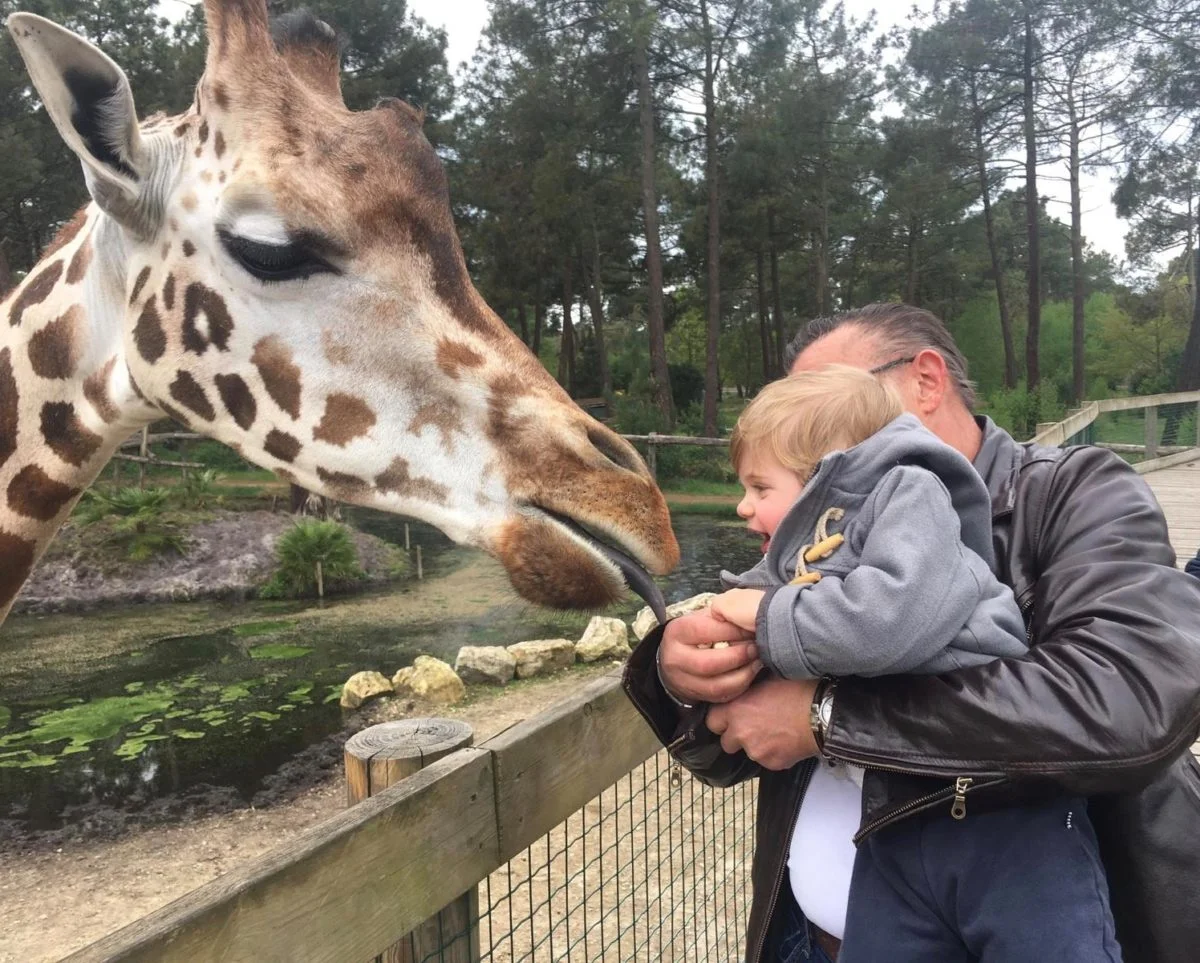 Unsere 10 Ideen für den Frühling - zoo bassin darcachon mit der ganzen Familie entdecken - Bassin d'Arcachon
