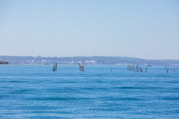 Pinasse Bassin d'Arcachon
