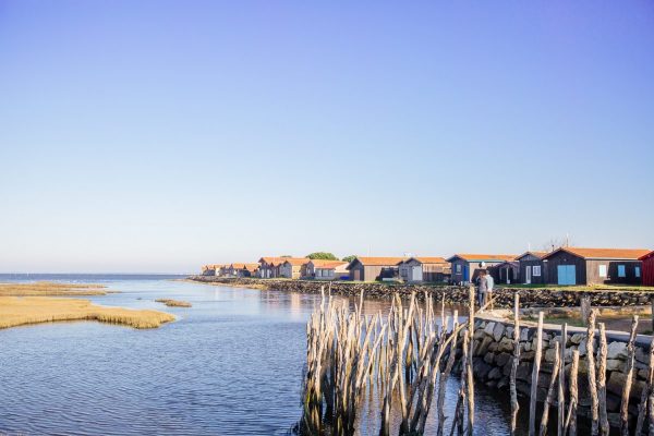 Gujan Mestras Puerto de Larros - Gujan Mestras Puerto de Larros - Bassin d'Arcachon