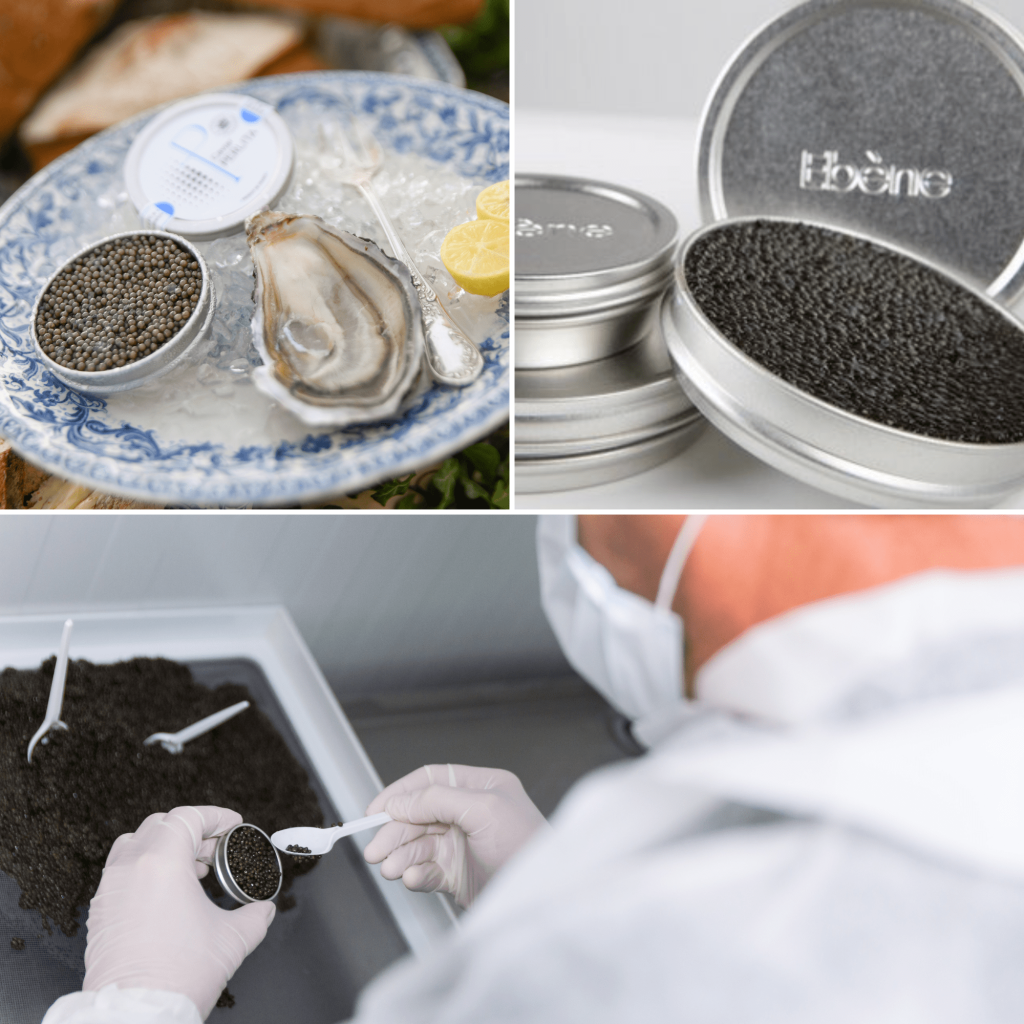 5 tour gastronomici di Bassin ad Arcachon - Design sans titre 35 - Bassin d'Arcachon