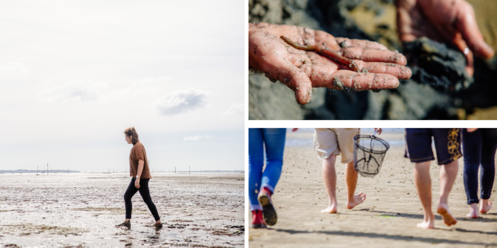 5 visites pour les aventuriers en herbe - Peche a pied - Bassin d'Arcachon 5 visites pour les aventuriers en herbe - Peche a pied - Bassin d'Arcachon