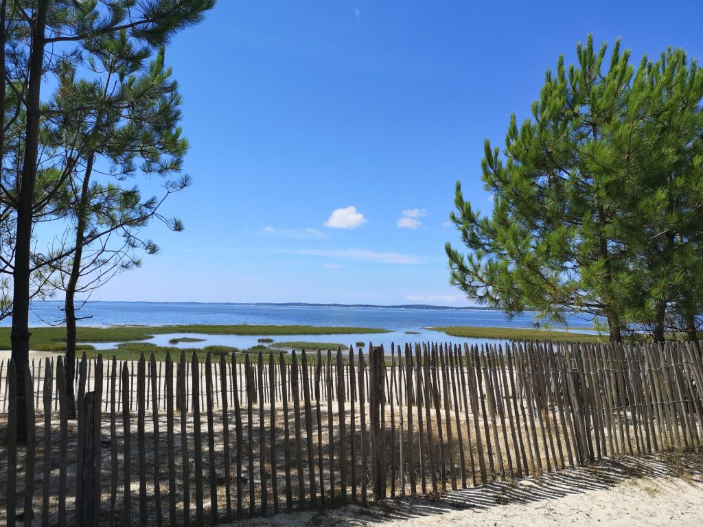 Andernos-les-Bains - 5 QuinconcescAngélique Saget scaled - Bassin d'Arcachon