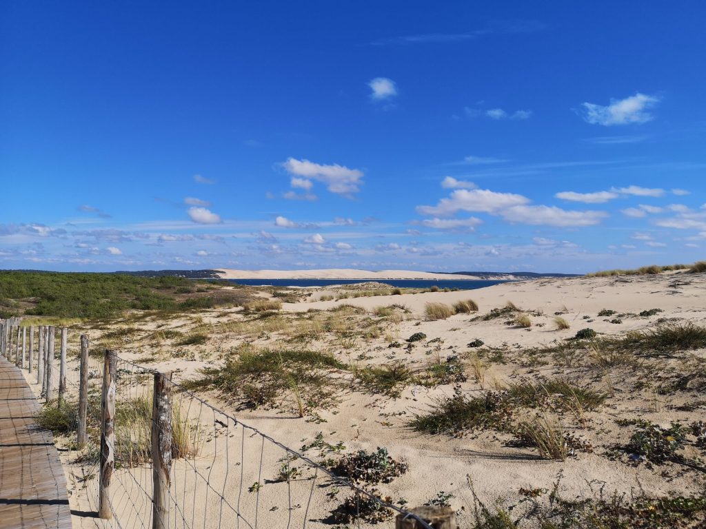 Companion Programme - 7 View of the Dune du Pilat at Cap FerretcAngélique Saget scaled - Bassin d'Arcachon