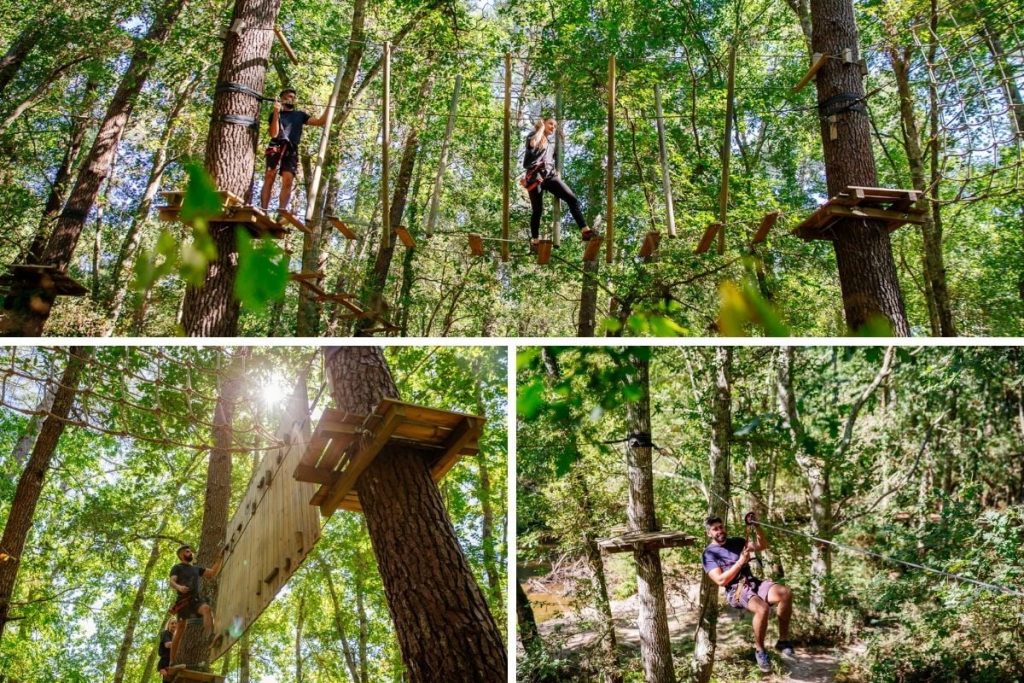 tree climbing zip line