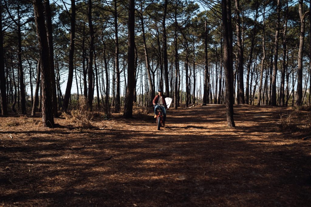 A day between skateboarding and surfing: get your boards ready! - DSC07968 scaled - Bassin d'Arcachon