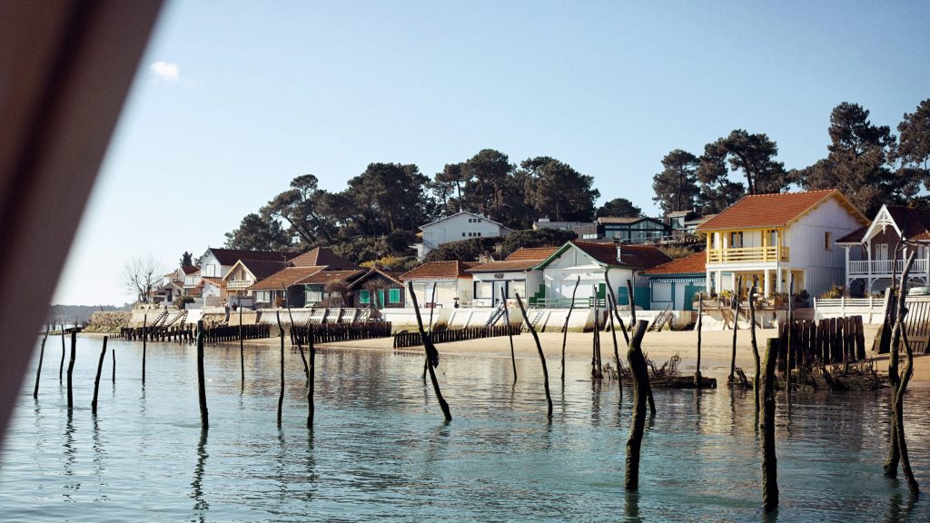 D'amour et de mimosas - BOATHERBE scaled - Bassin d'Arcachon