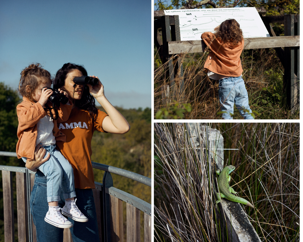 Fuga primaverile madre-figlia - Montaggio fotografico marrone di un interno accogliente 10 - Bassin d'Arcachon