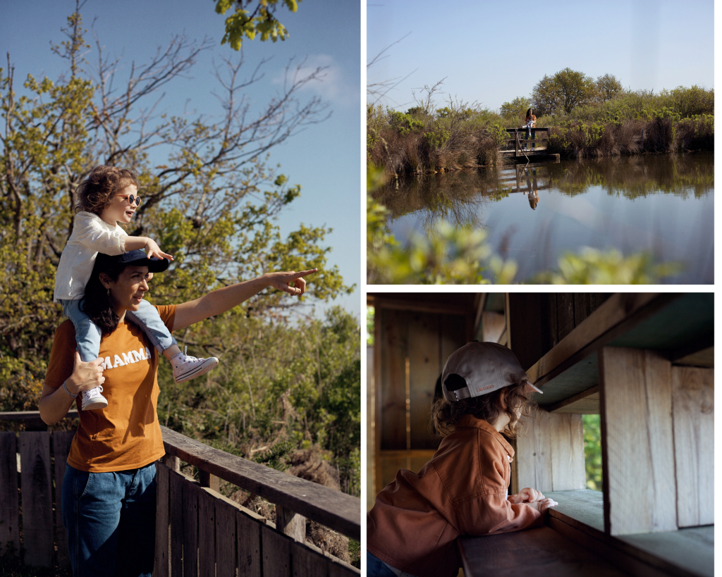 Fuga primaverile madre-figlia - Fotomontaggio marrone di un interno accogliente 7 - Bassin d'Arcachon