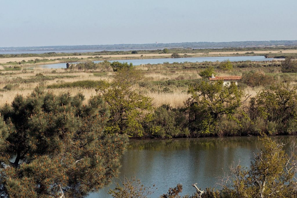 Fuga primaverile madre-figlia - WILD2 - Bassin d'Arcachon
