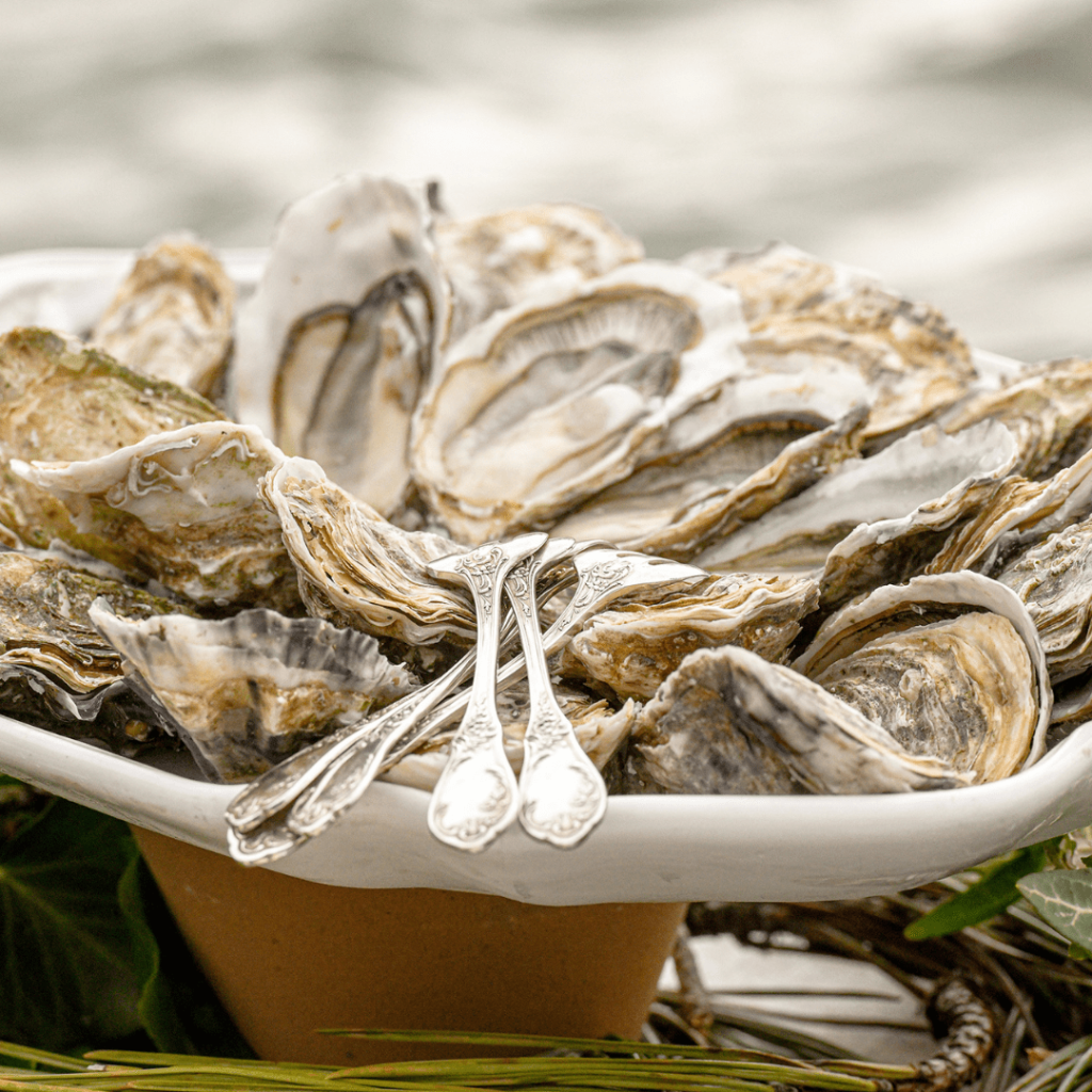 Deguste nuestras ostras - al horno 12 - Bassin d'Arcachon
