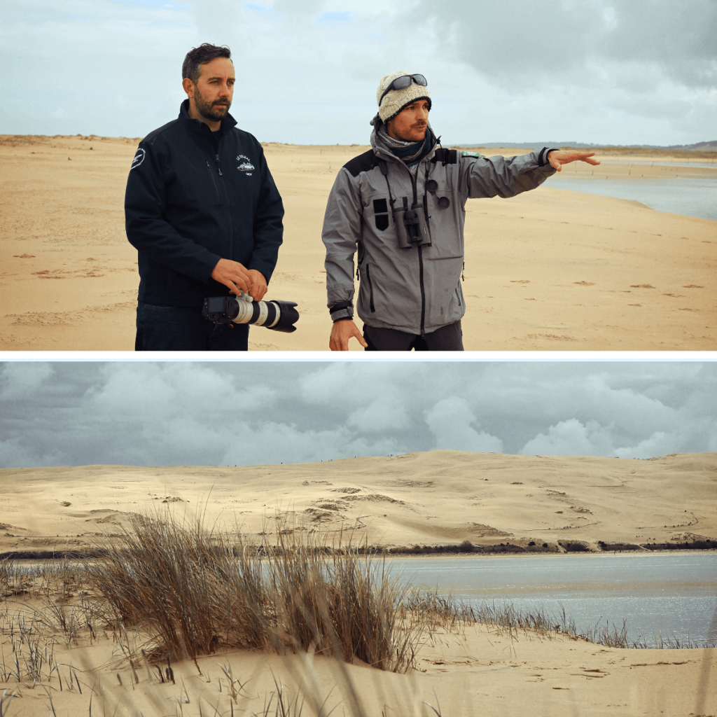 Fais comme l'oiseau - Sans titre 2023 03 28T134803.757 - Bassin d'Arcachon