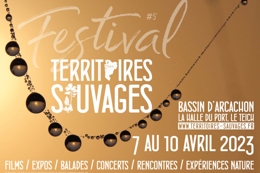 Fais comme l'oiseau - Sans titre 2023 03 30T082400.604 - Bassin d'Arcachon