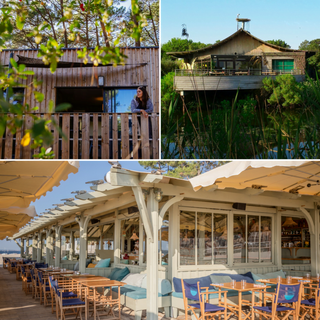 Holz ist der Stolz des Bassin d'Arcachon - Design ohne Titel 5 - Bassin d'Arcachon