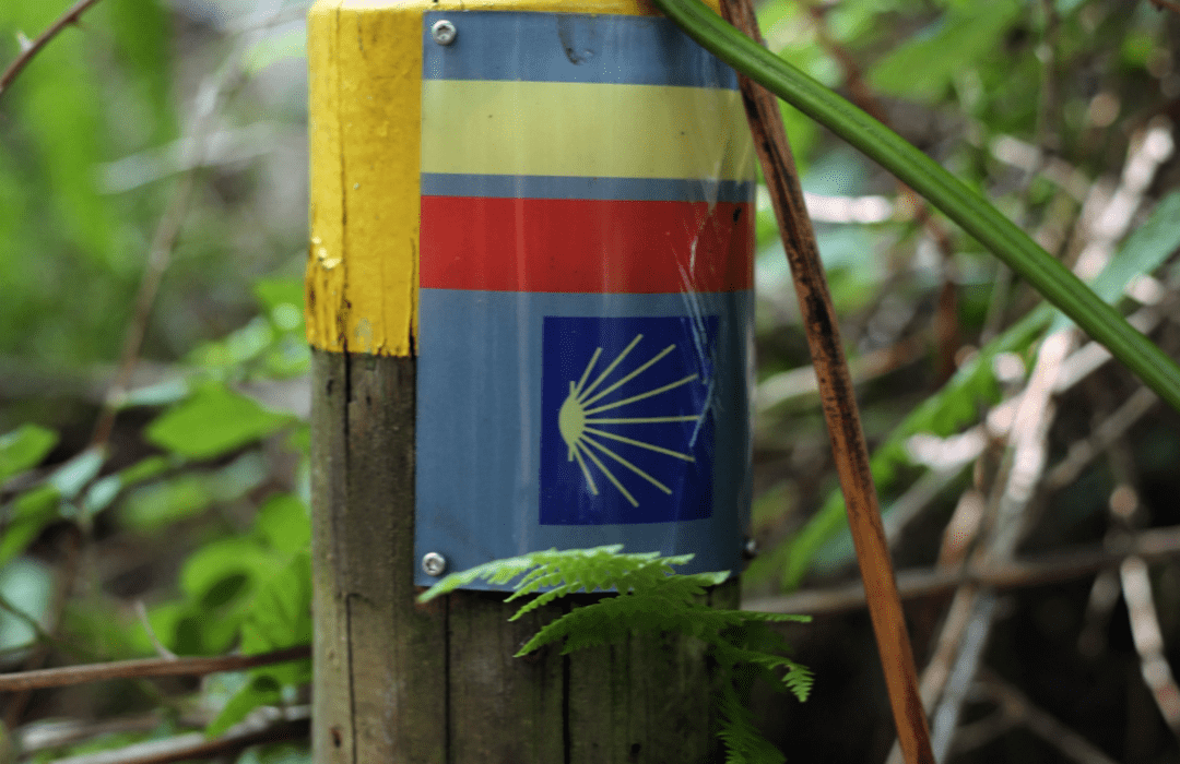 Estaca con los colores y la concha de Santiago de Compostela