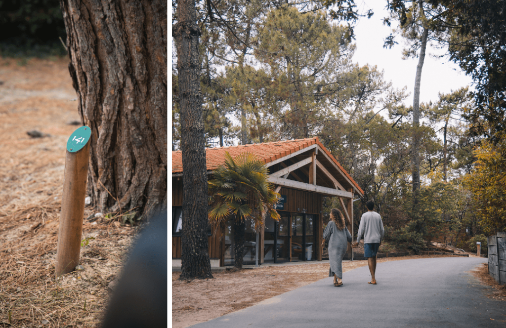 Explorez le Bassin d'Arcachon en mode vanlife - Design sans titre 75 2 - Bassin d'Arcachon