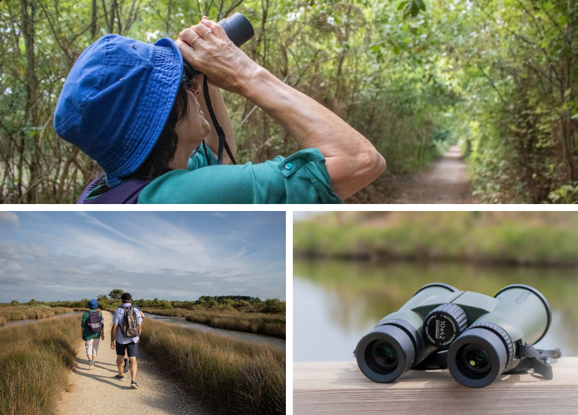 Bassin d'Arcachon: ¡Como vuelan los pájaros! - Diseño sin título 2023 11 30T113634.927 - Bassin d'Arcachon