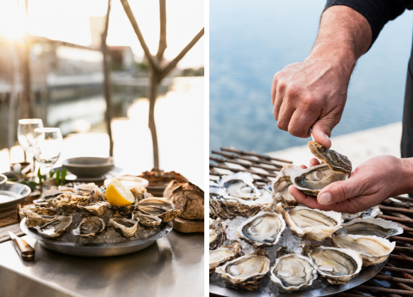 A festive meal, Bassin d'Arcachon style - Untitled Design 2023 12 06T152659.078 - Bassin d'Arcachon