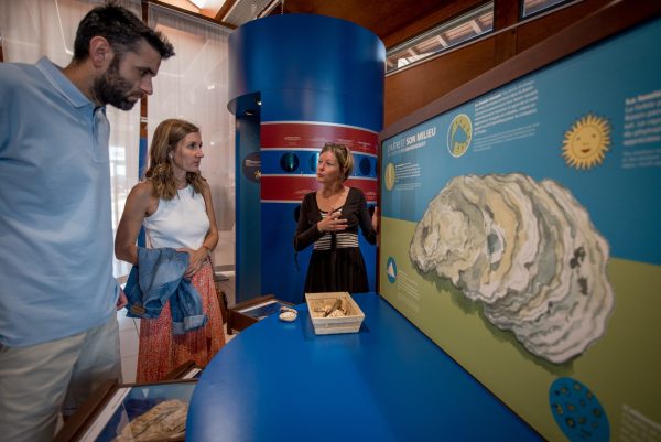 Maison de l'Huître (Haus der Auster)